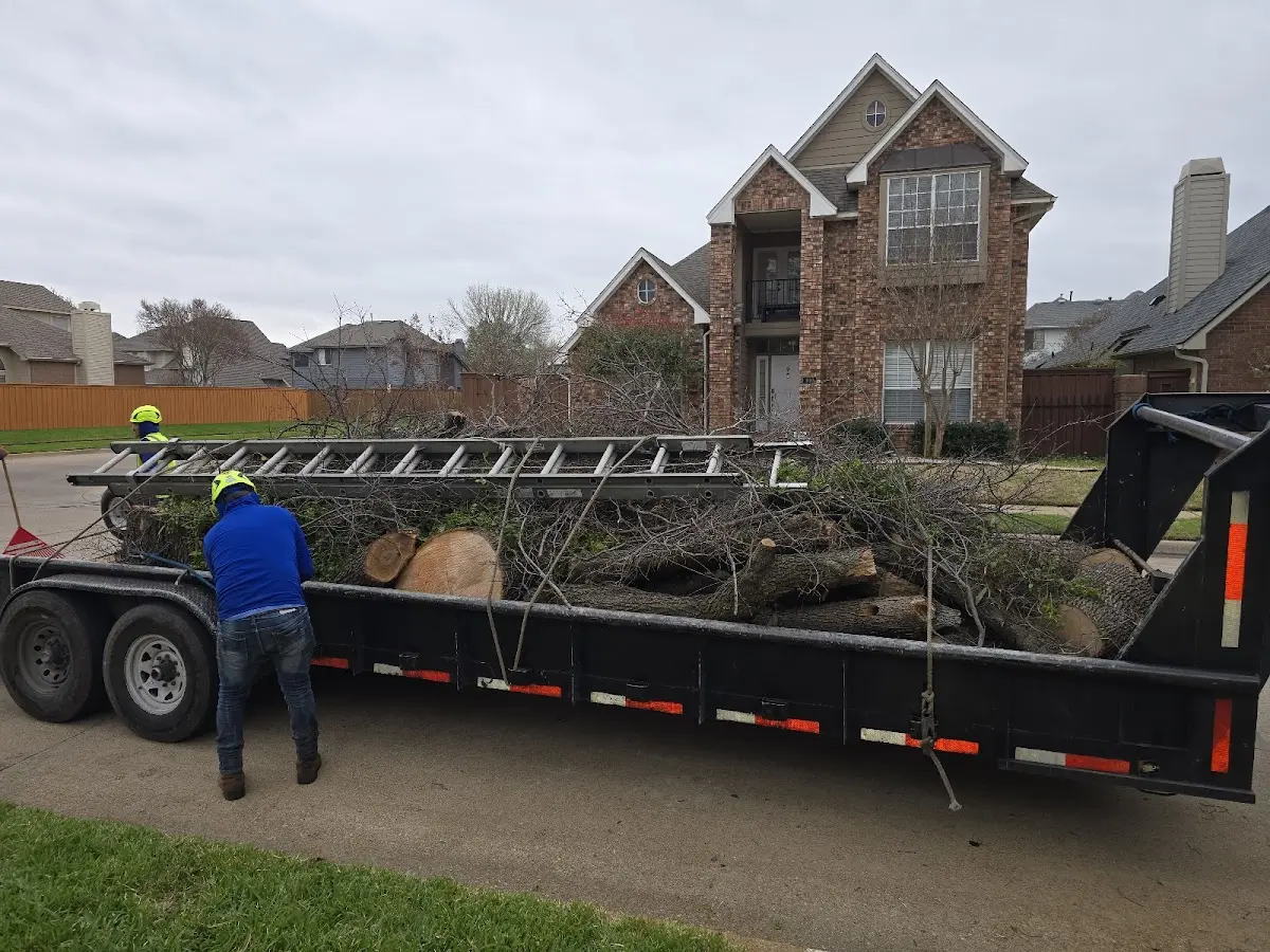 Expert Crown Reduction with proper safety equipment in East Liberty